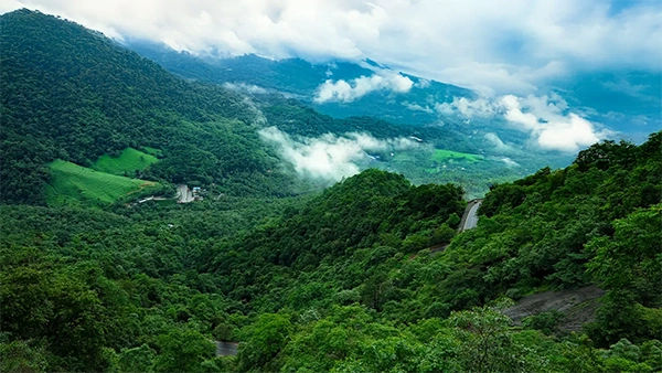 Sarjapura to Wayanad